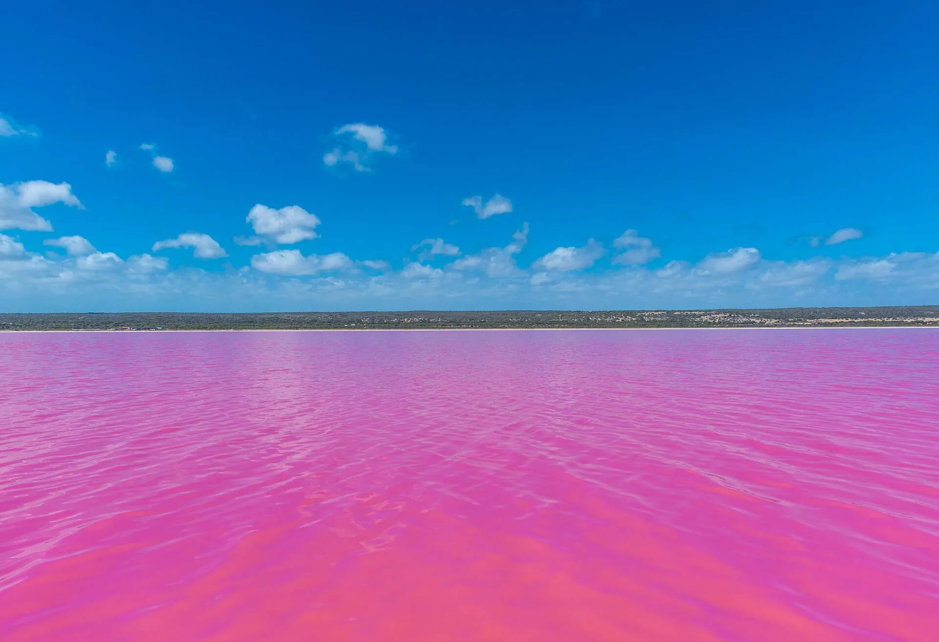 Seven beautiful pink lakes in Australia