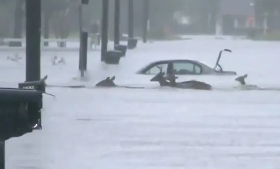 US carriers slowly resume services after Florence