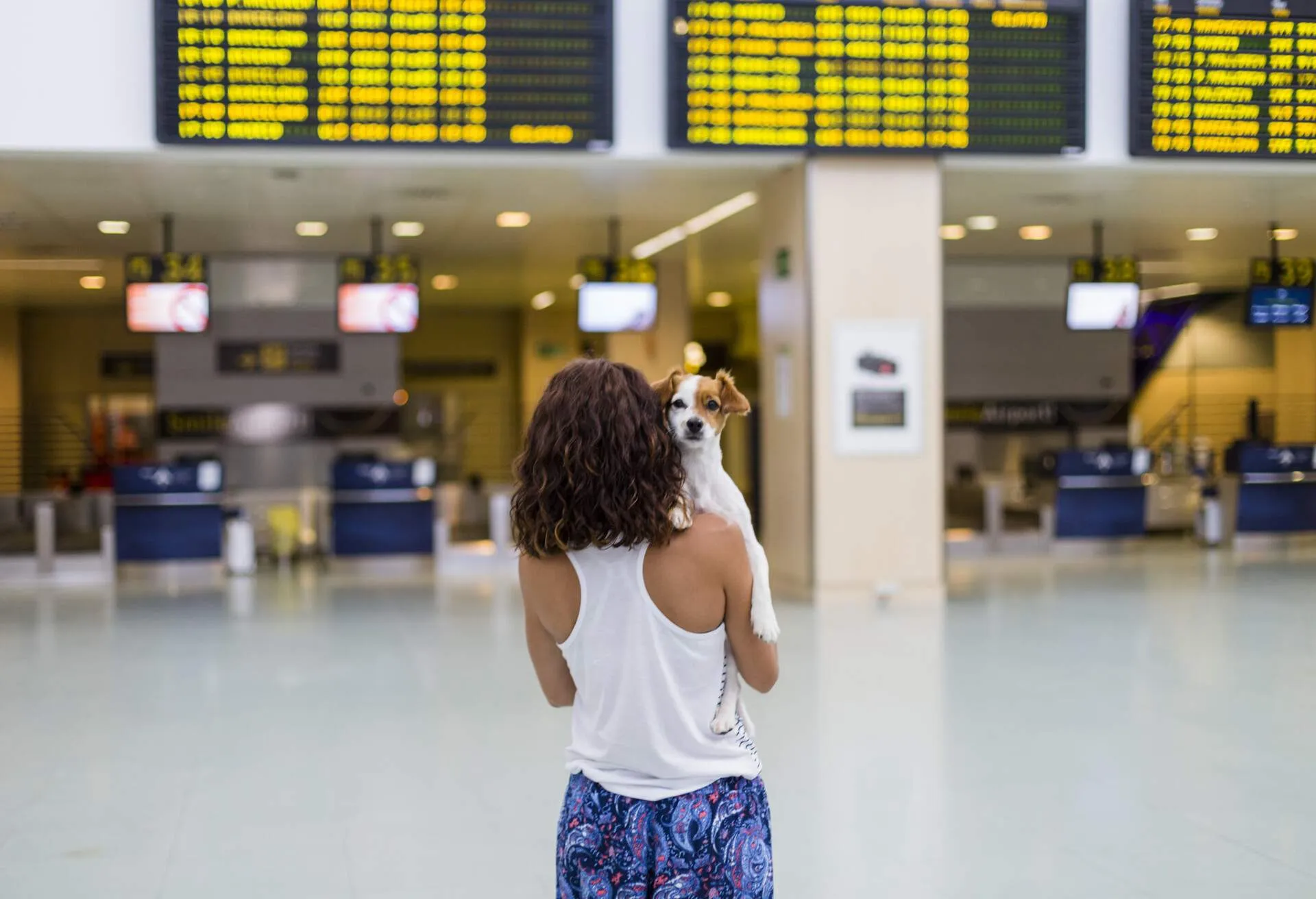 Why are flights being canceled and how to deal with it