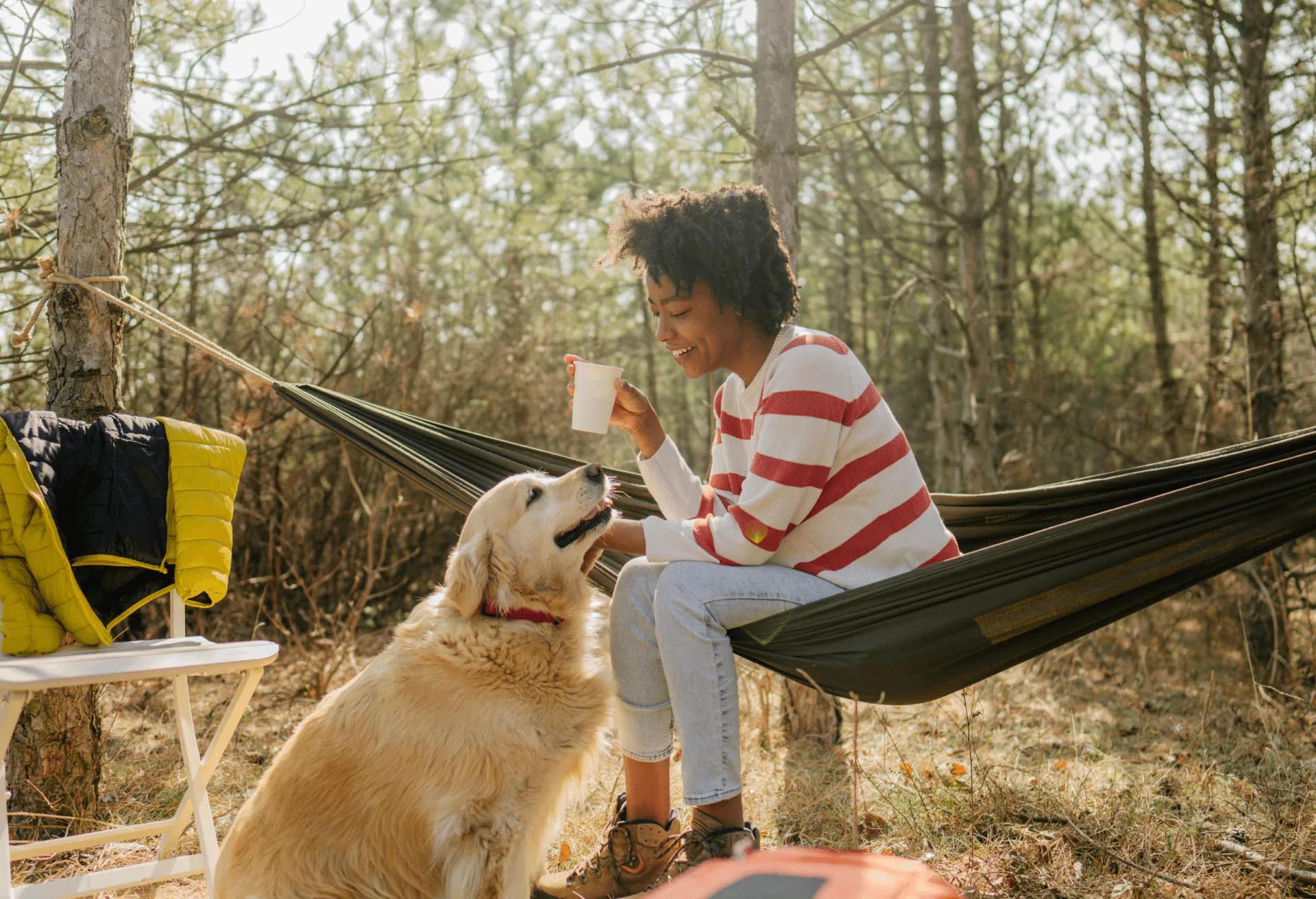 Tips for camping with dogs