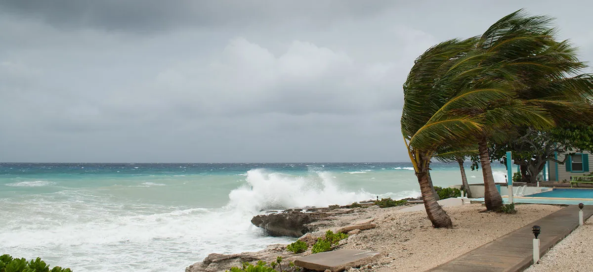 Tracking Hurricane Irma and Travel