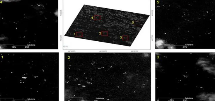 MH370: New image of 300 objects