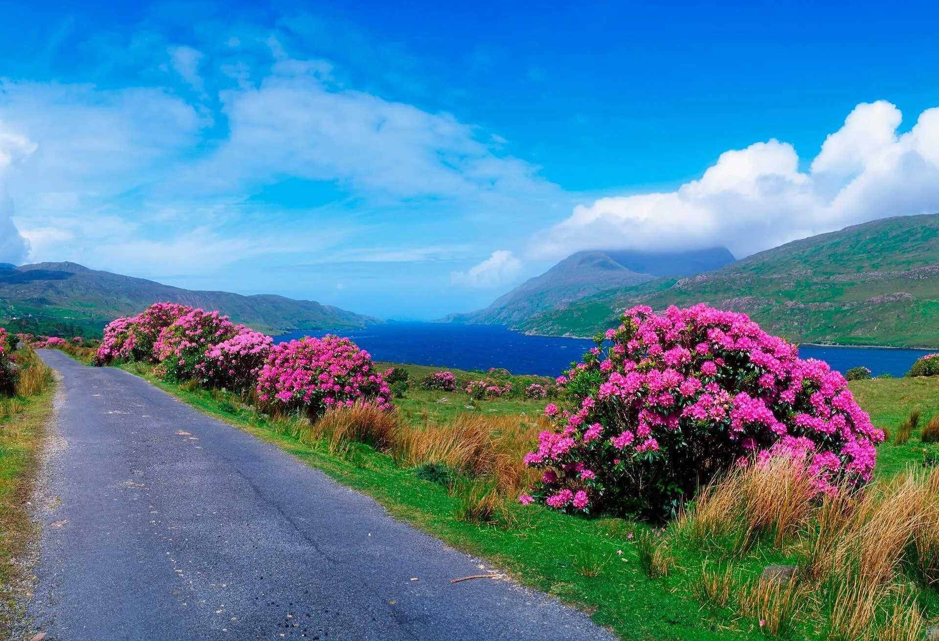 Look no further for some of the best places to visit in Ireland