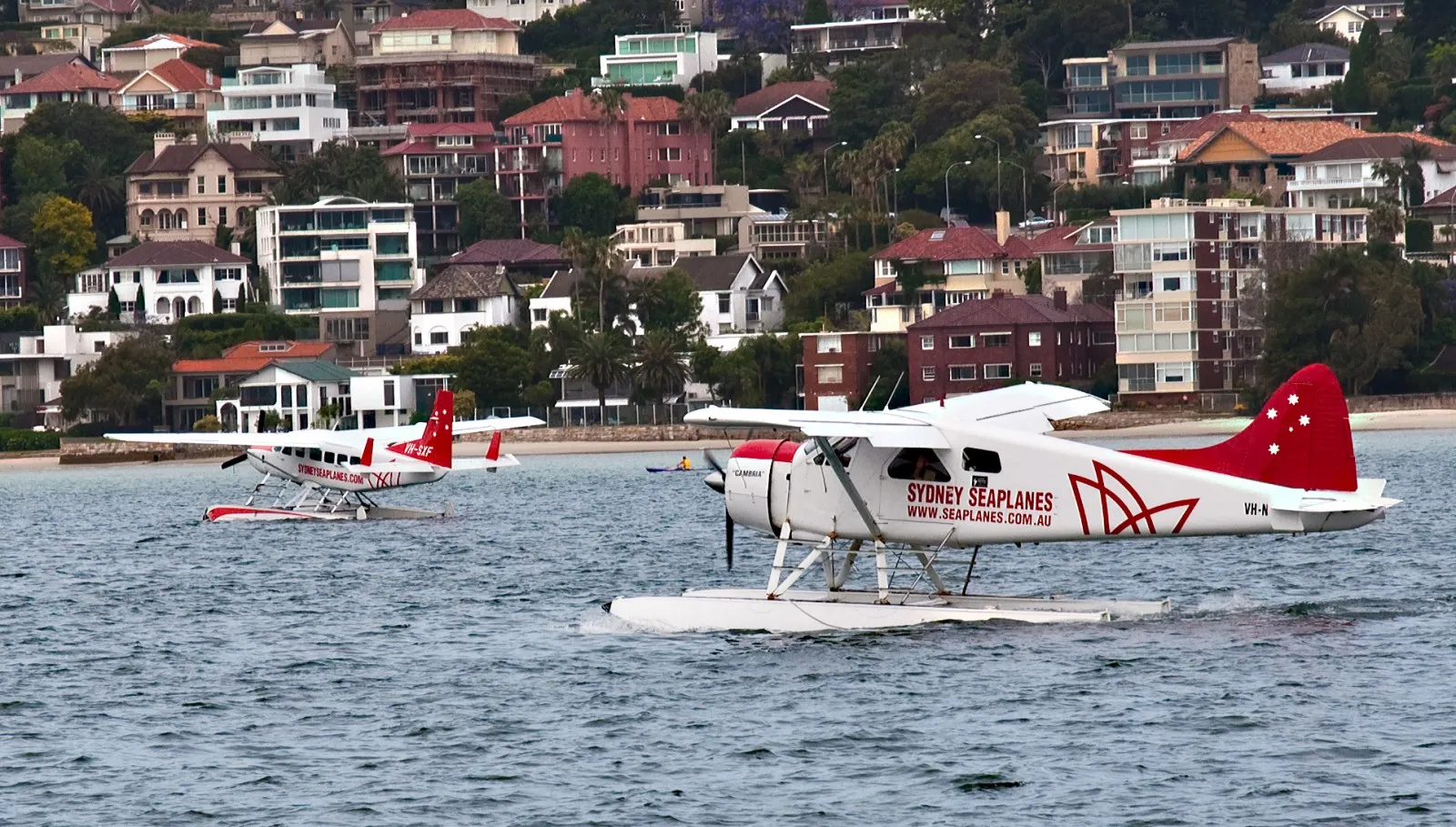 UPDATED: Sydney seaplane crash claims global executive and family