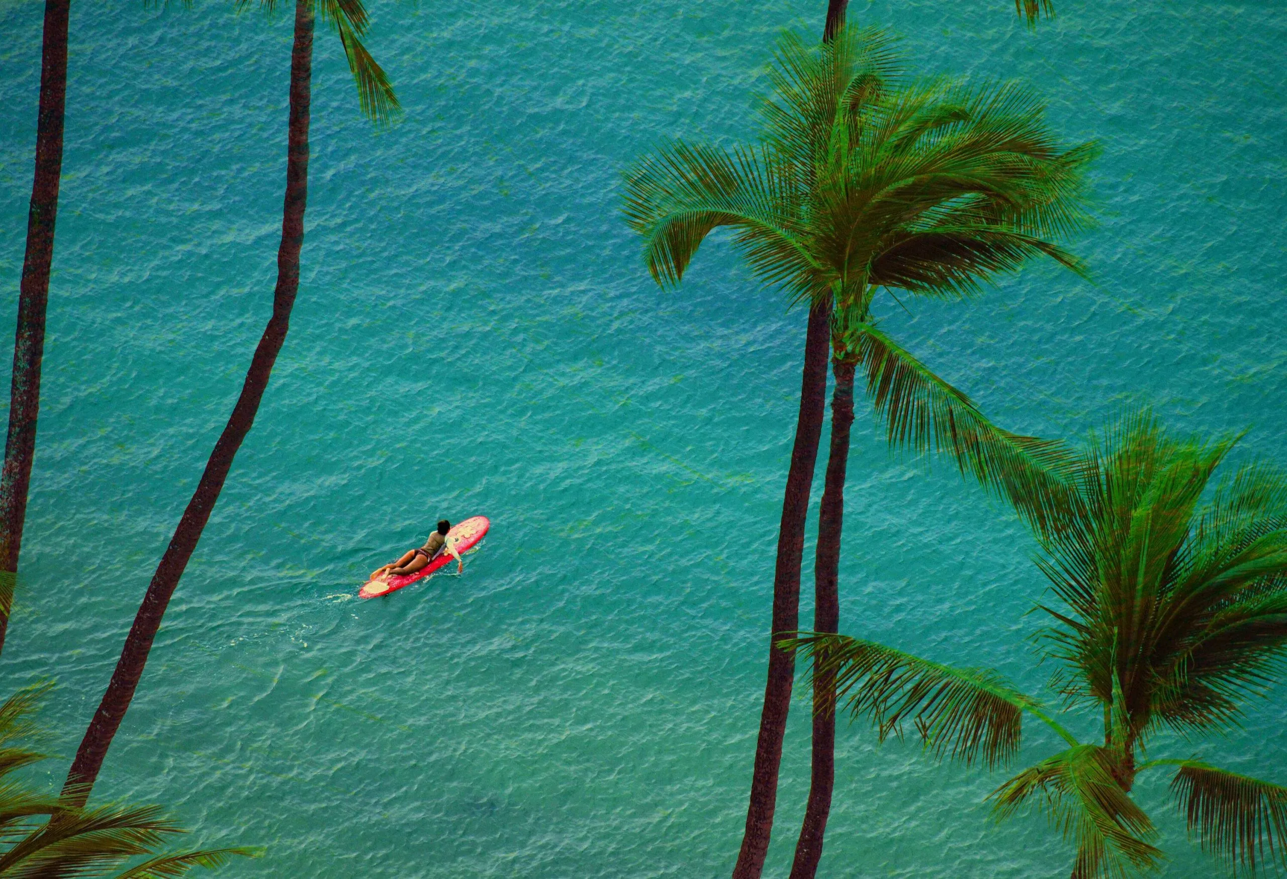 Discover the best time to go to Hawaii