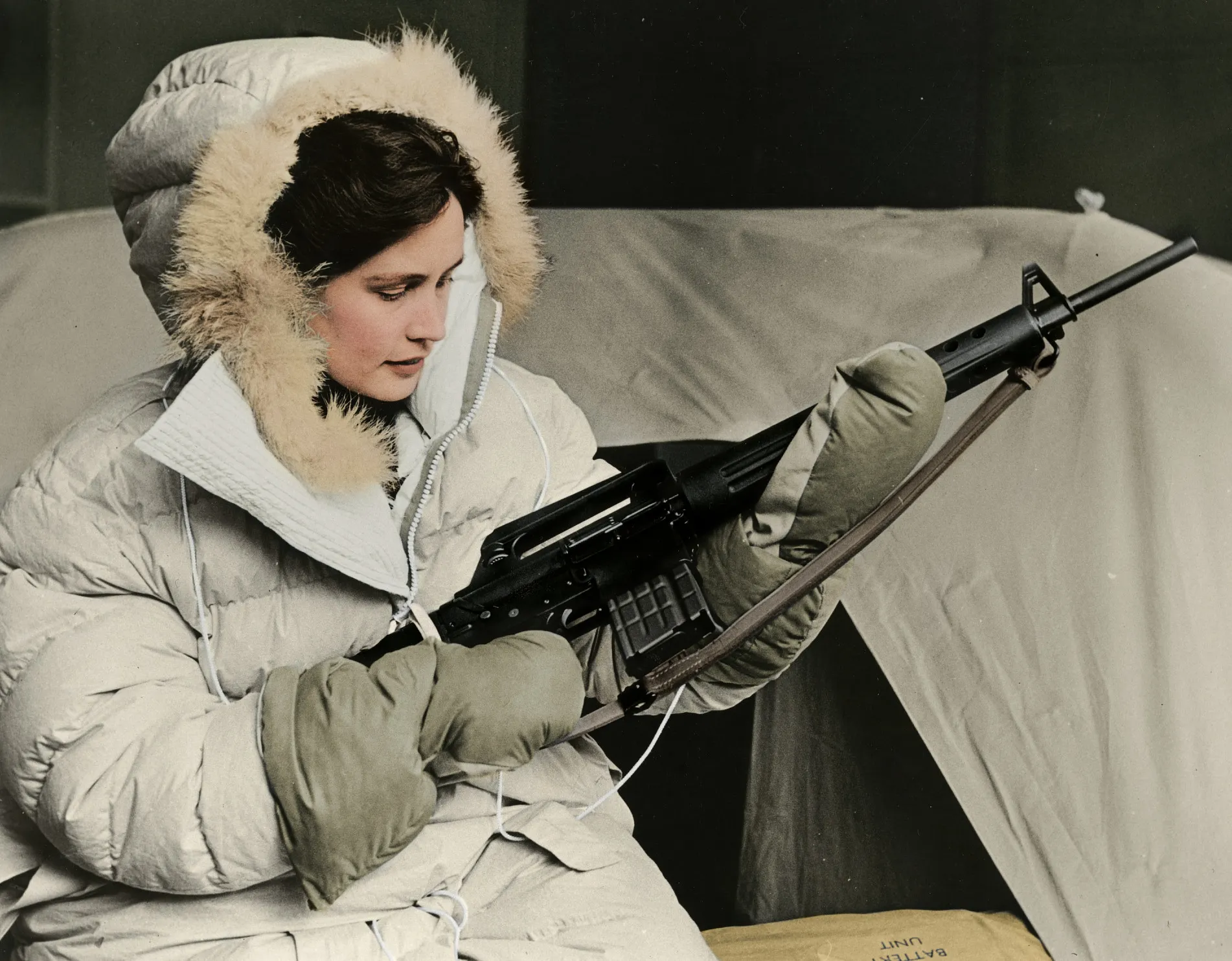 KLM Once Armed Its Crew With Rifles For Protection Against Polar Bears