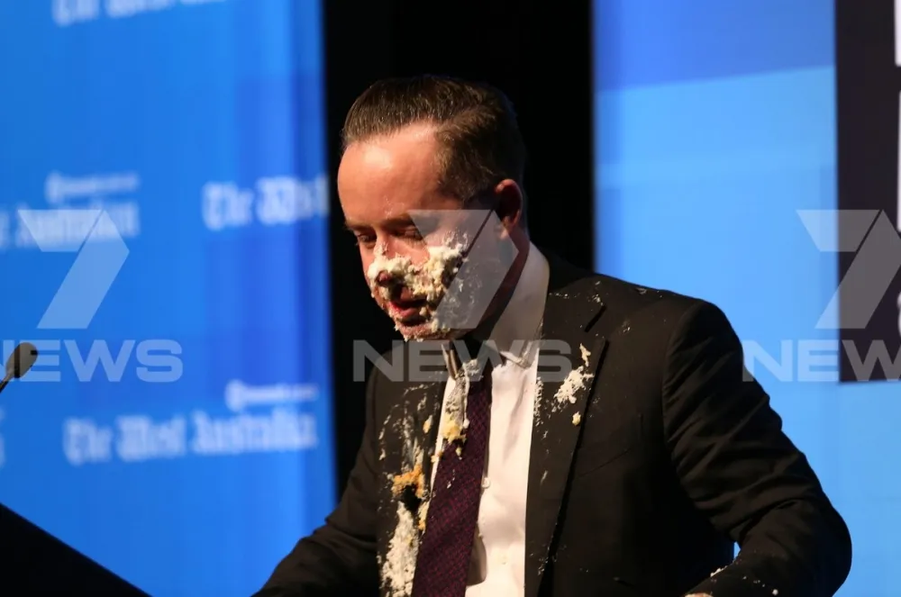 UPDATED: Qantas pie attacker was protesting corporate support for marriage equality.