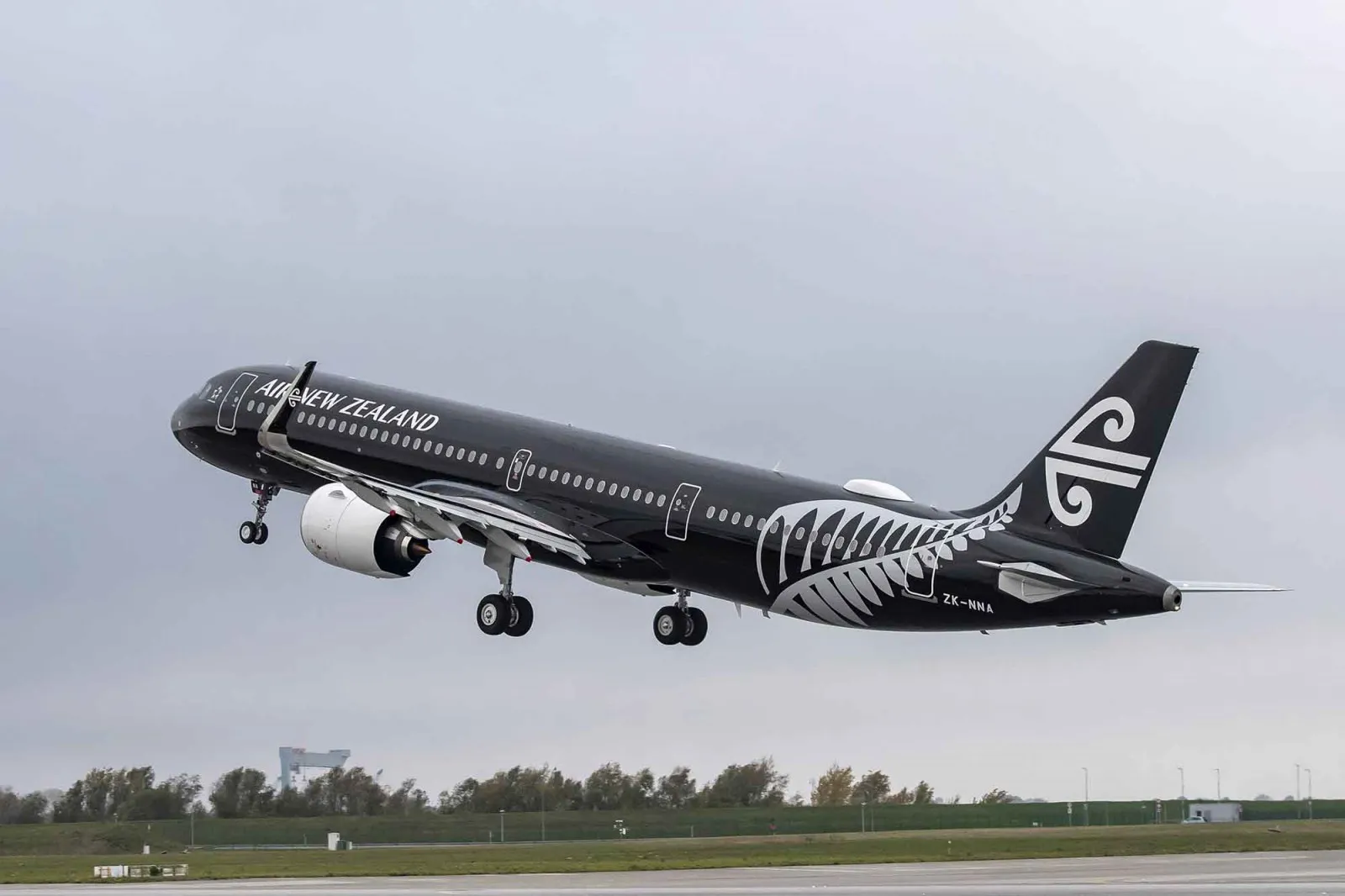 Air New Zealand Using Sign Language At 35,0000ft