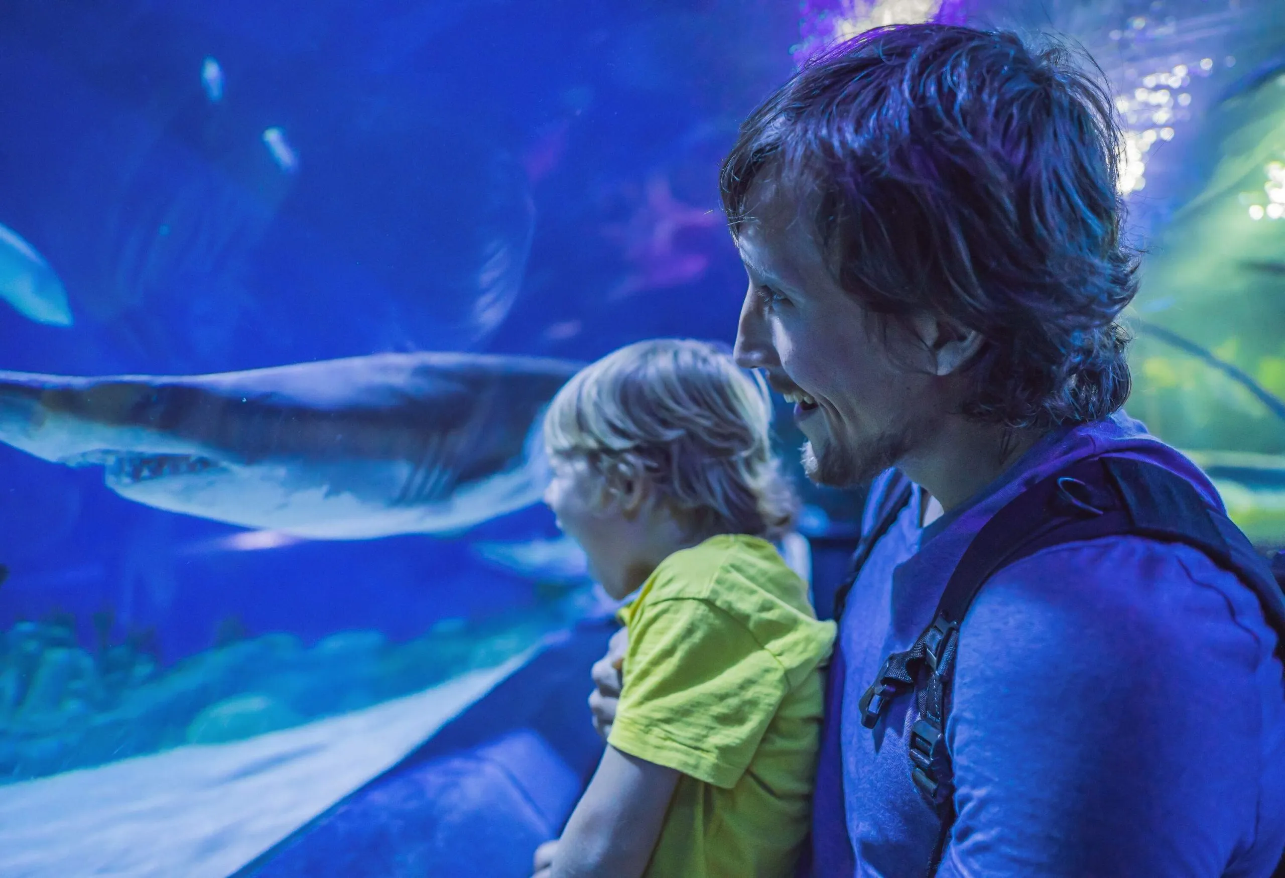 The 5 best aquariums in the US to discover on your next trip