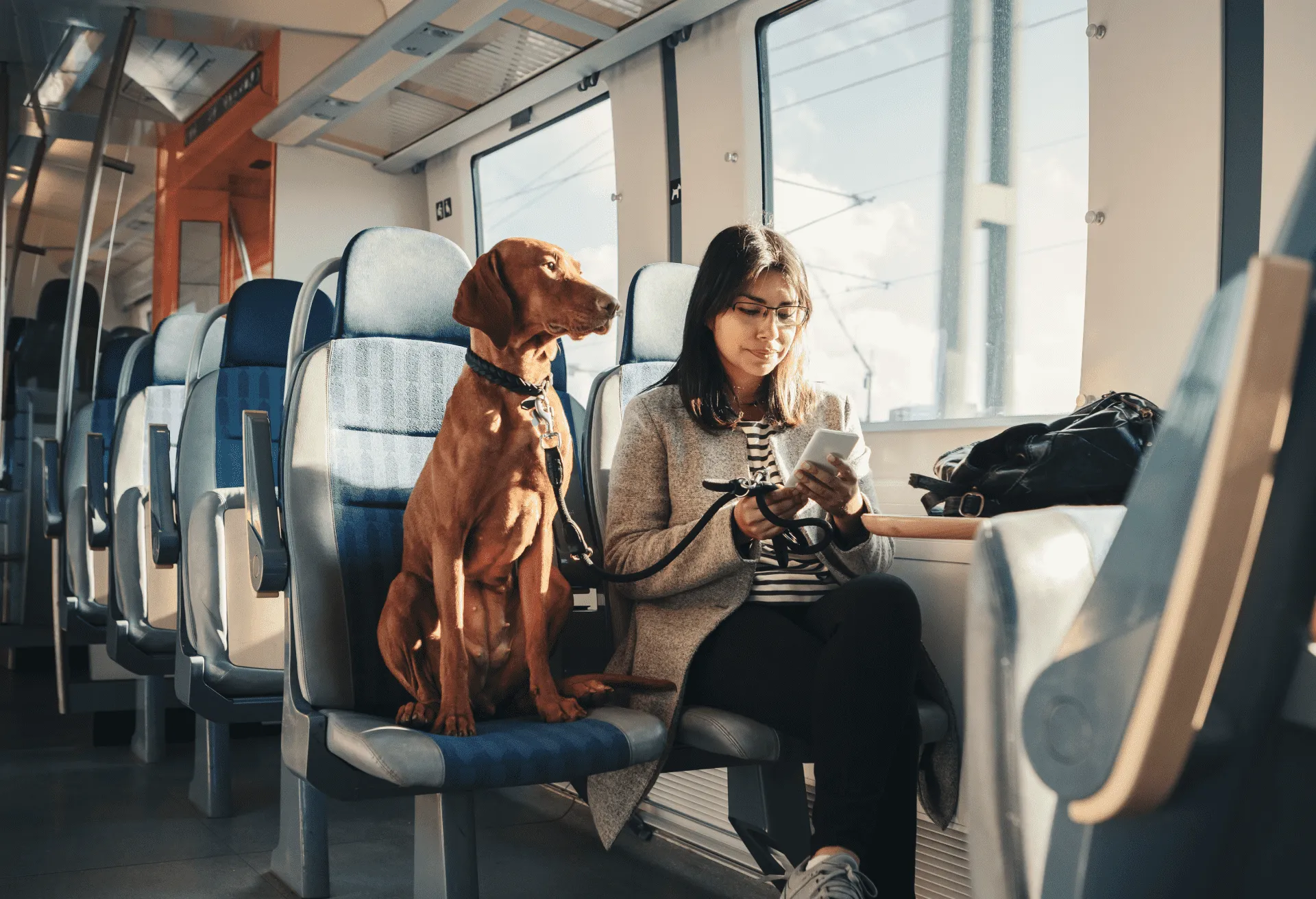 Train tips for you and your pet