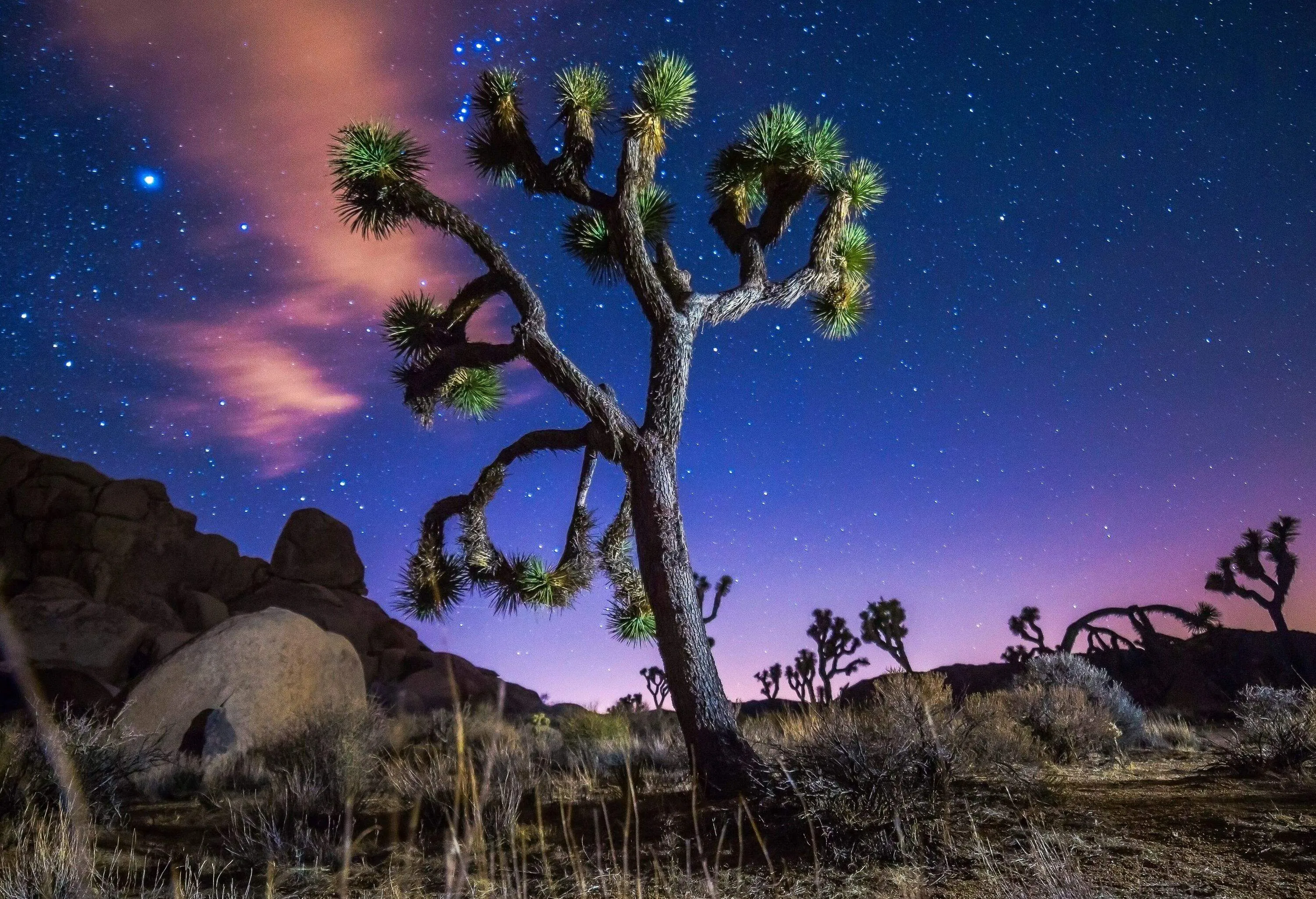 The best Dark Sky Parks to visit around the world.