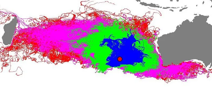 MH370: Could debris be on WA's south-west coast?