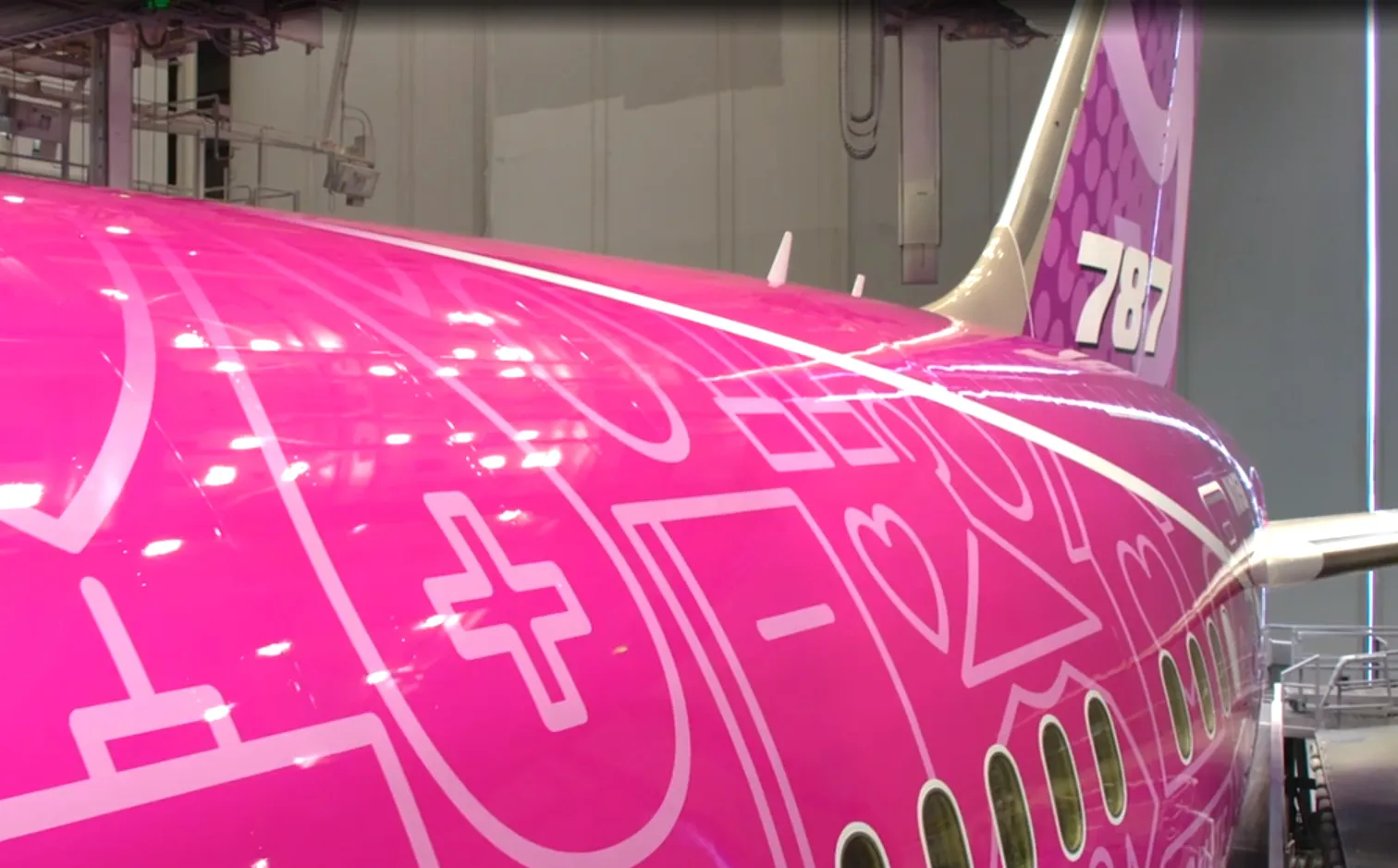 Video of amazing new livery concept for the 787