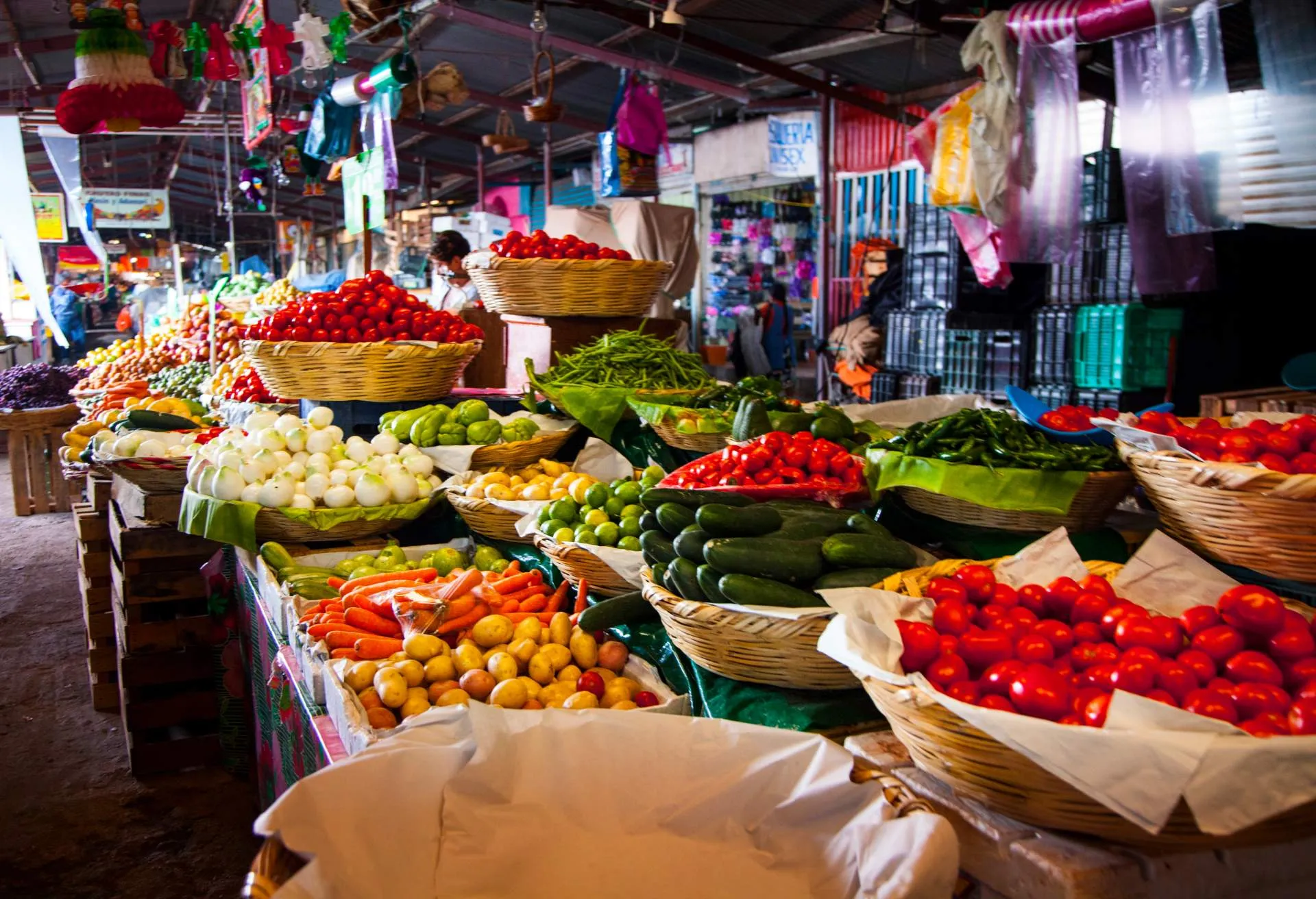 From Travel to Table: A Conversation with San Diego’s Chef Claudette Zepeda