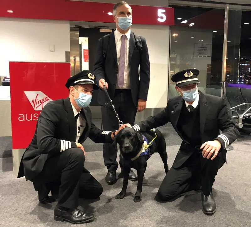 Seeing eye dog is pure gold after flying 100,000kms