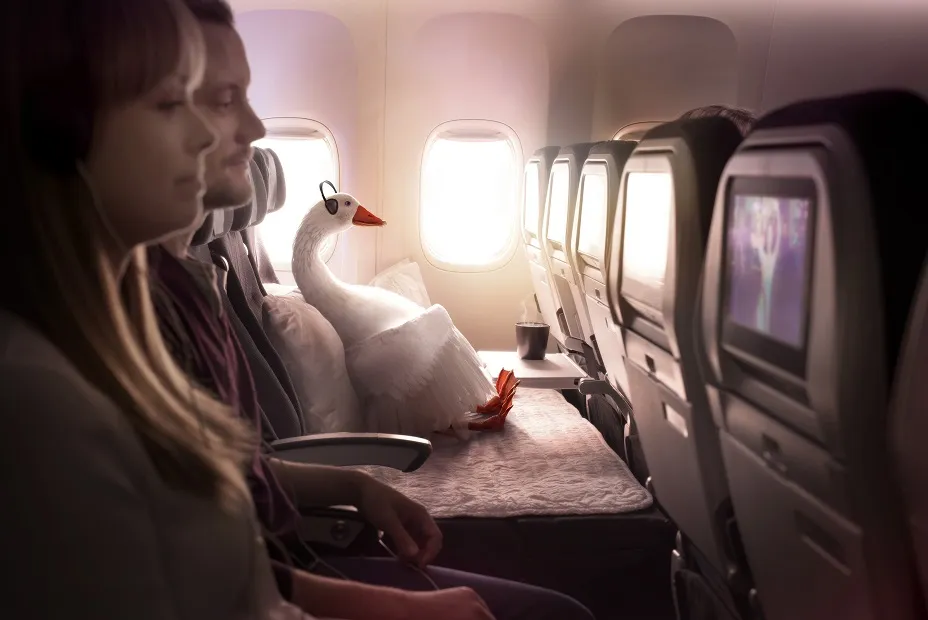 AirNZ launches new campaign for Aussie travellers