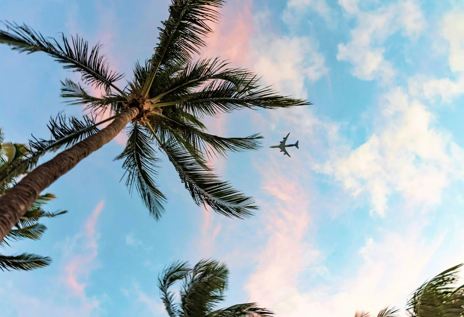 Explore with airline-rising: How to find cheap flights to anywhere